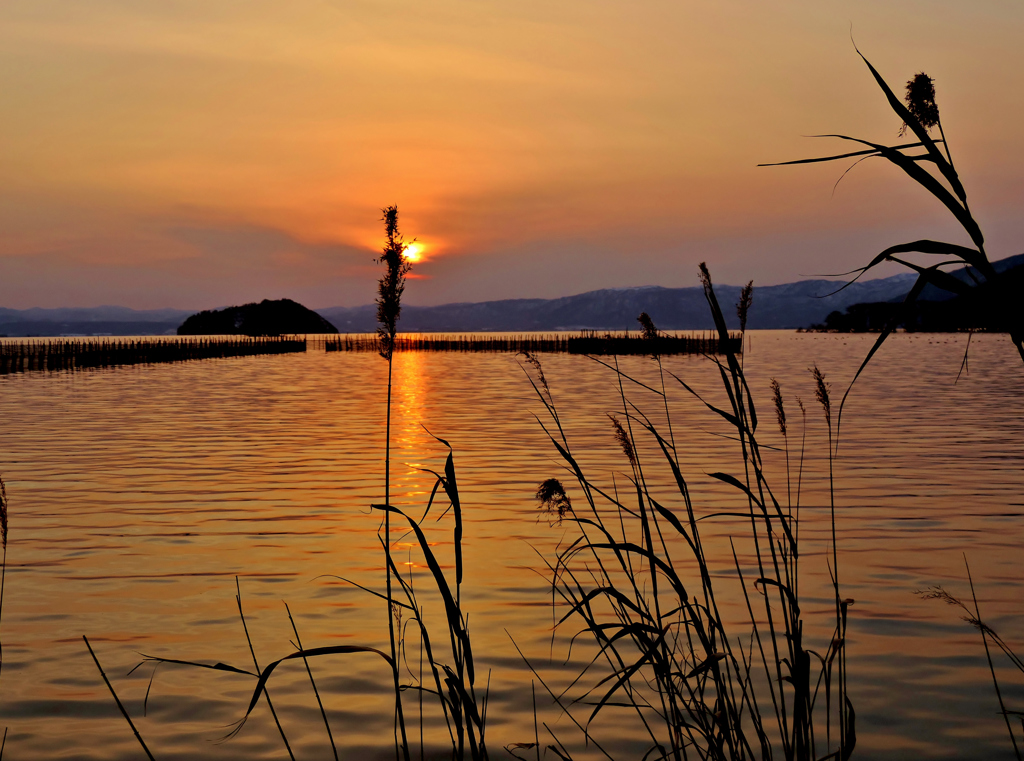 夕波