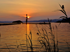 夕波
