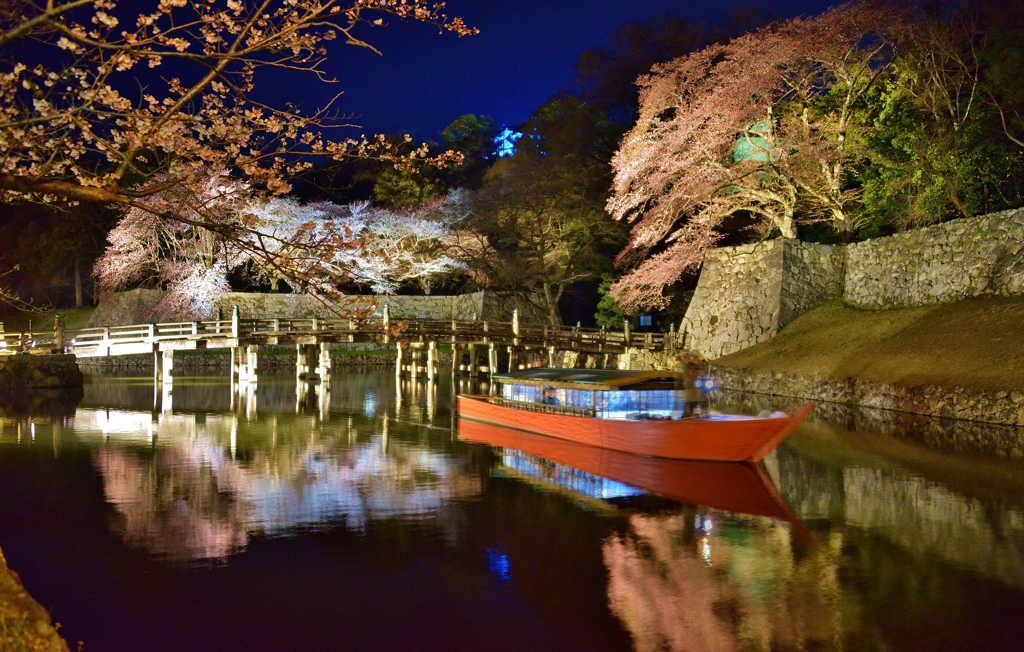 屋形船夜桜