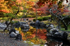 小池に映る秋彩