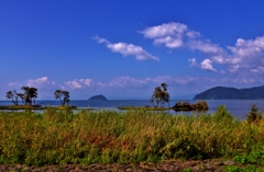 湖北秋景