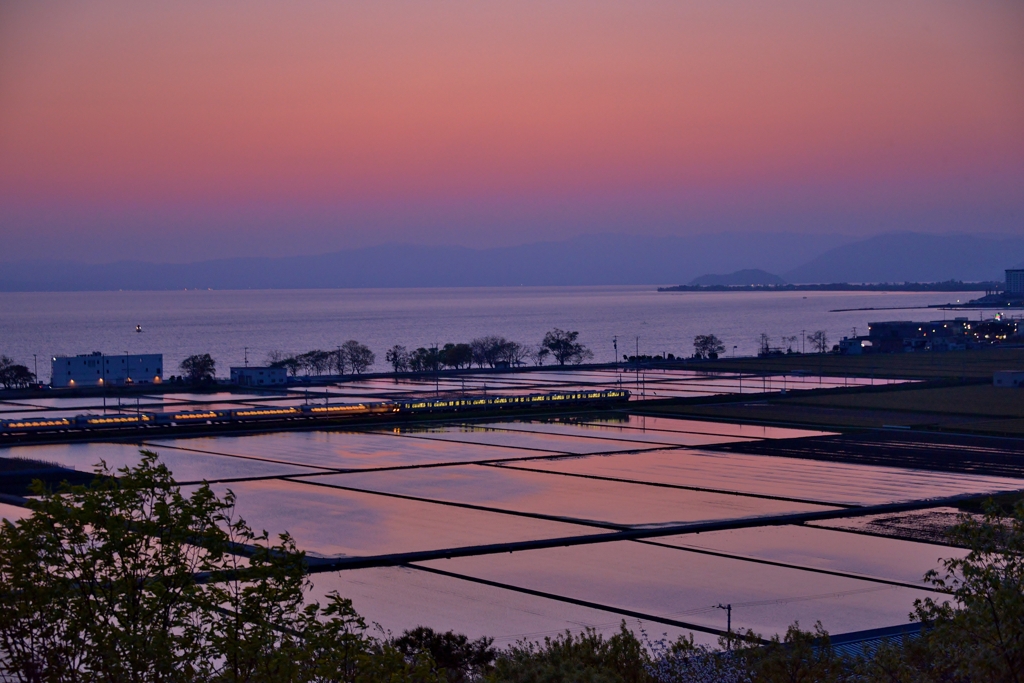 夕暮れの湖岸水田風景