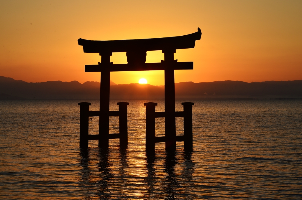 Sunrise of torii at lake　Ⅰ