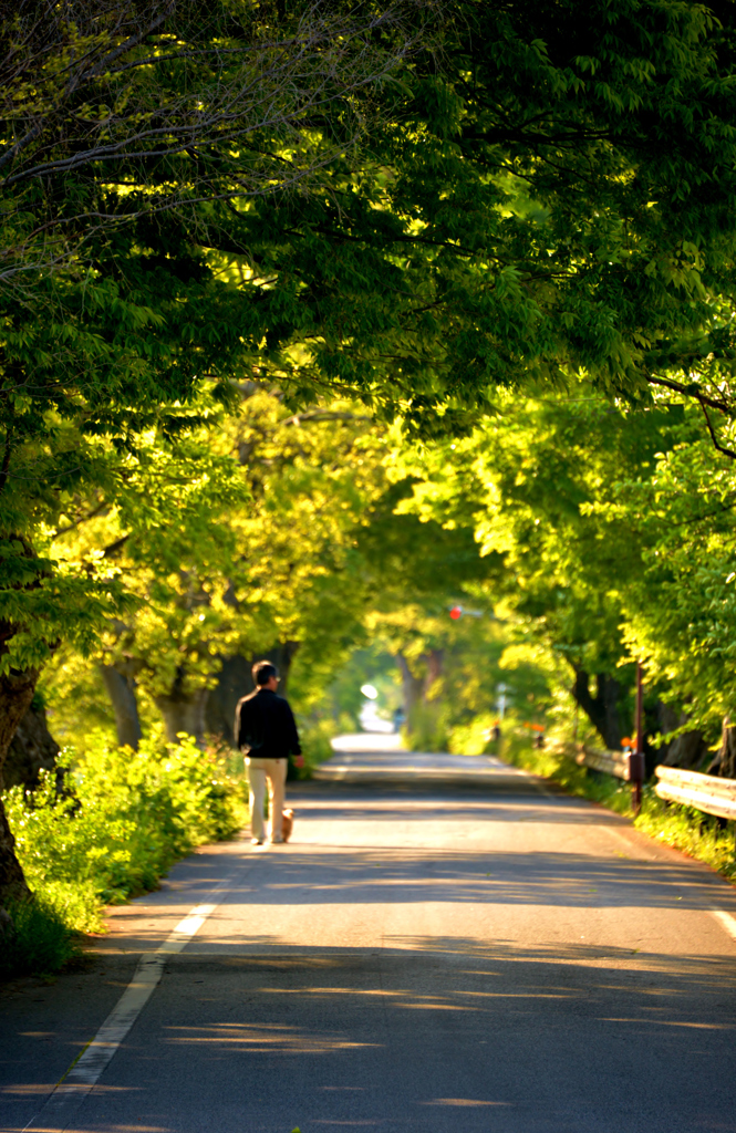 新緑の中を