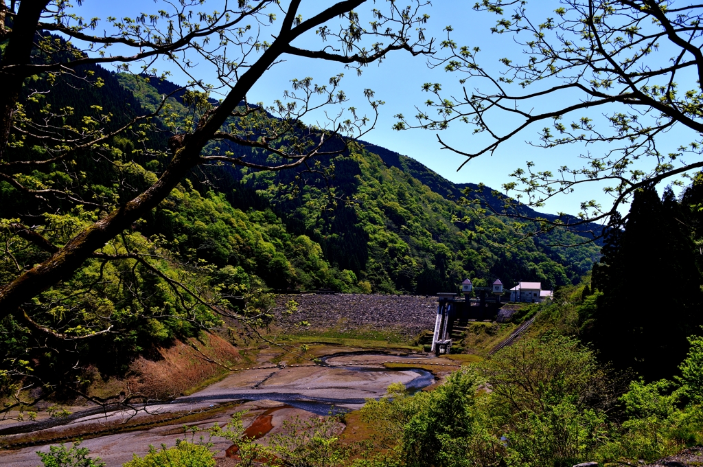 新緑の石田川ダム