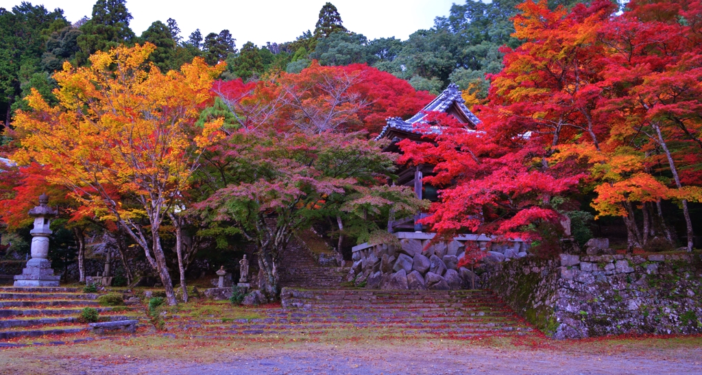 東光寺紅葉