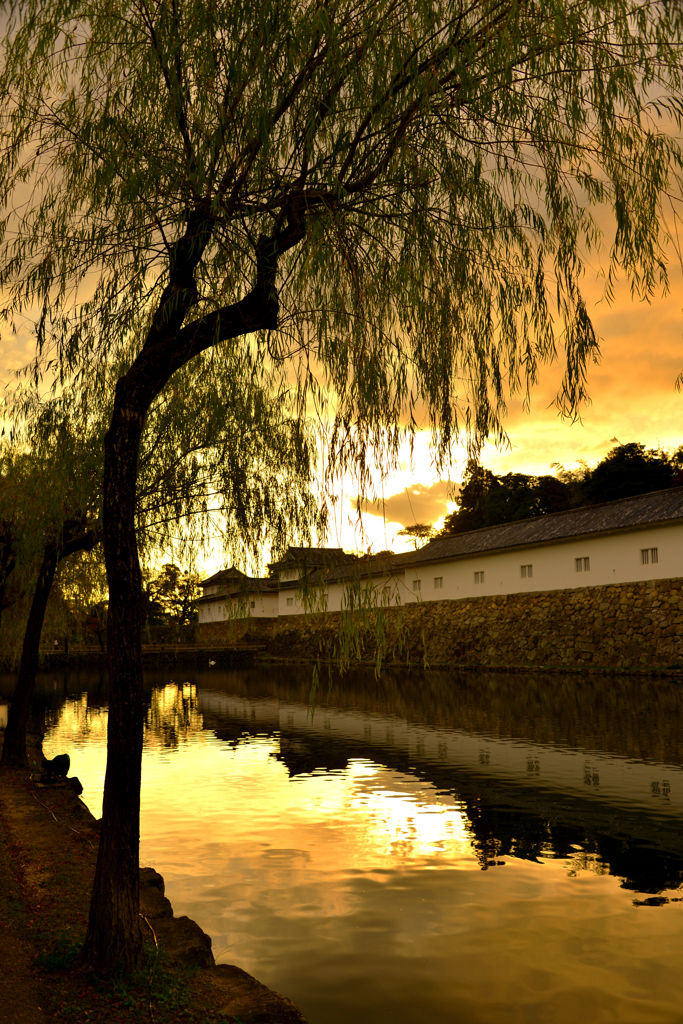 濠端夕景