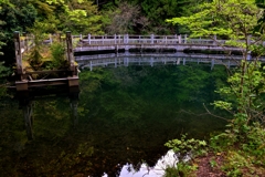 途切れた水鏡桟橋