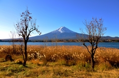 晩秋の富士山