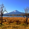 晩秋の富士山