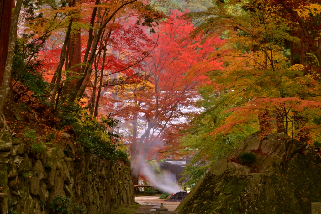 山寺秋景
