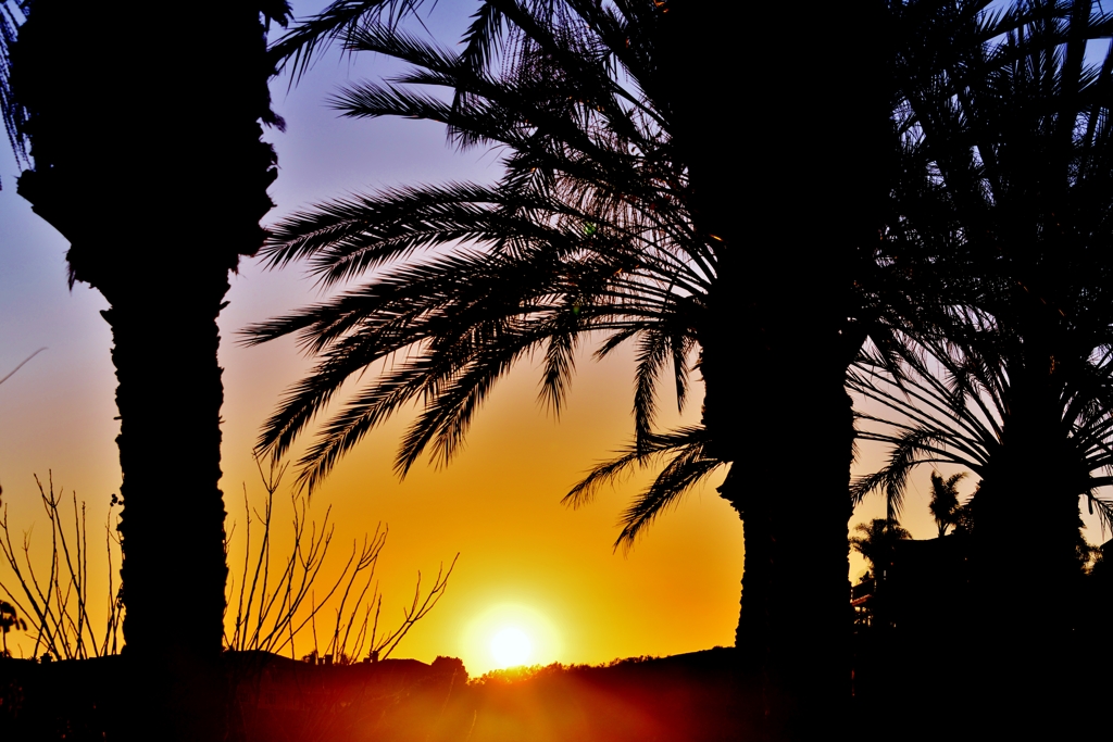Setting sun