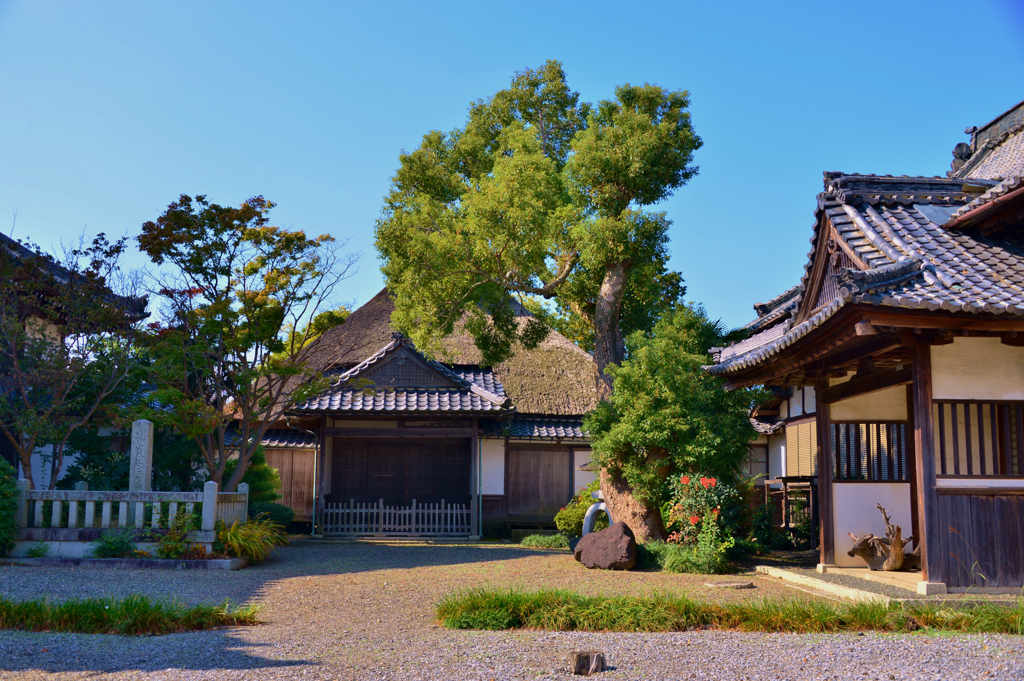 福田寺御殿（通称浅井御殿）