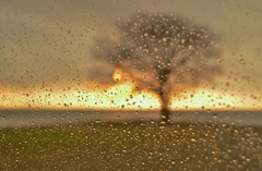 雨情夕景