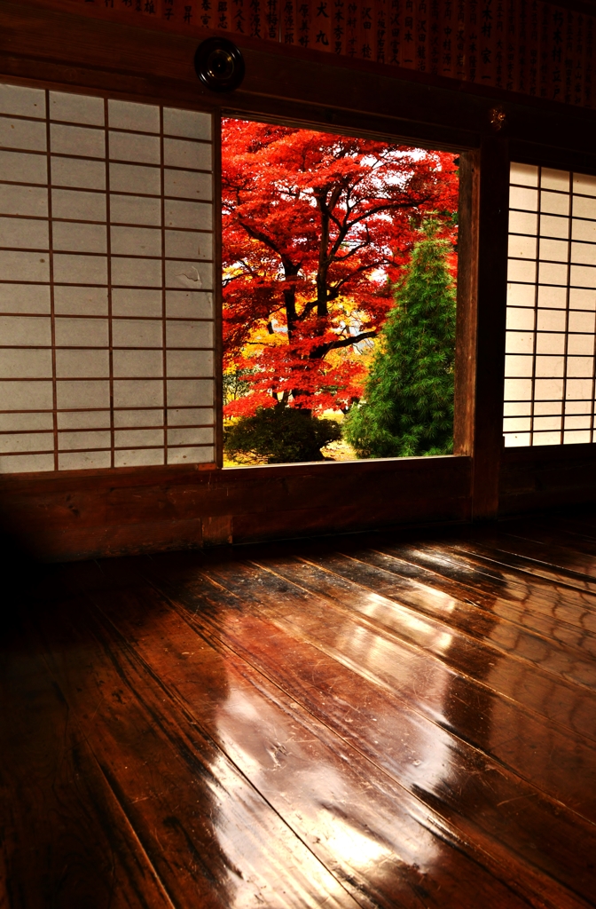 床紅葉