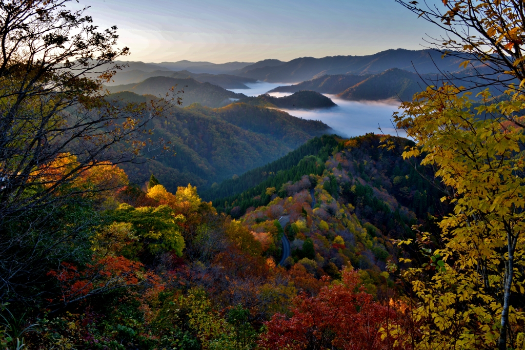 小入谷の紅葉雲海