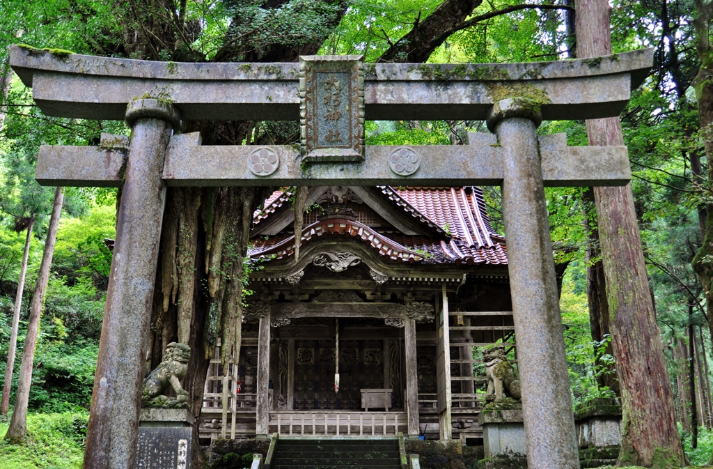 大杉神社　鳥居と拝殿