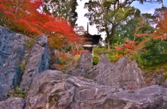 石山寺秋ぶらり　7　硅灰石に多宝塔