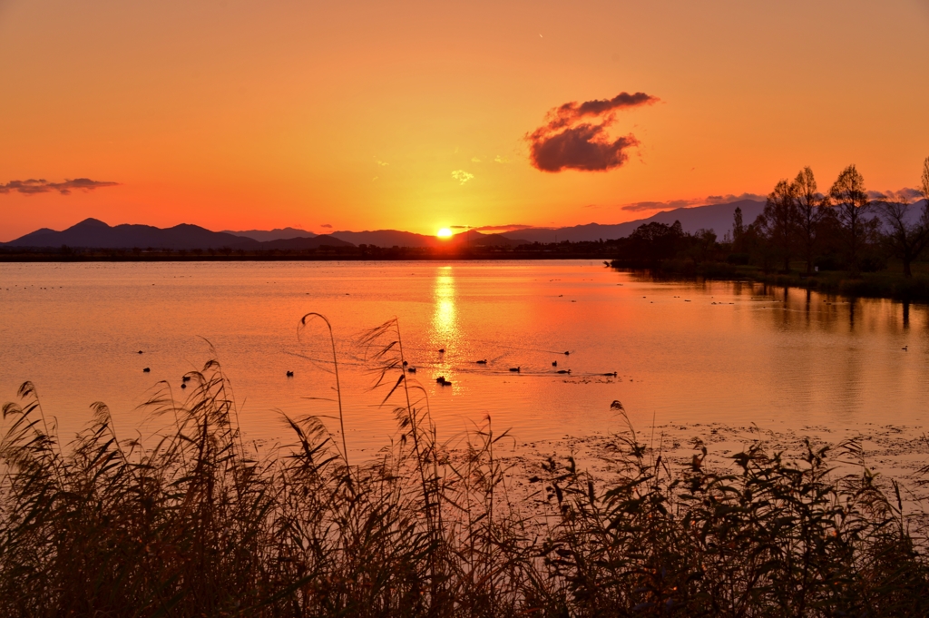 曽根沼秋夕日　2-2