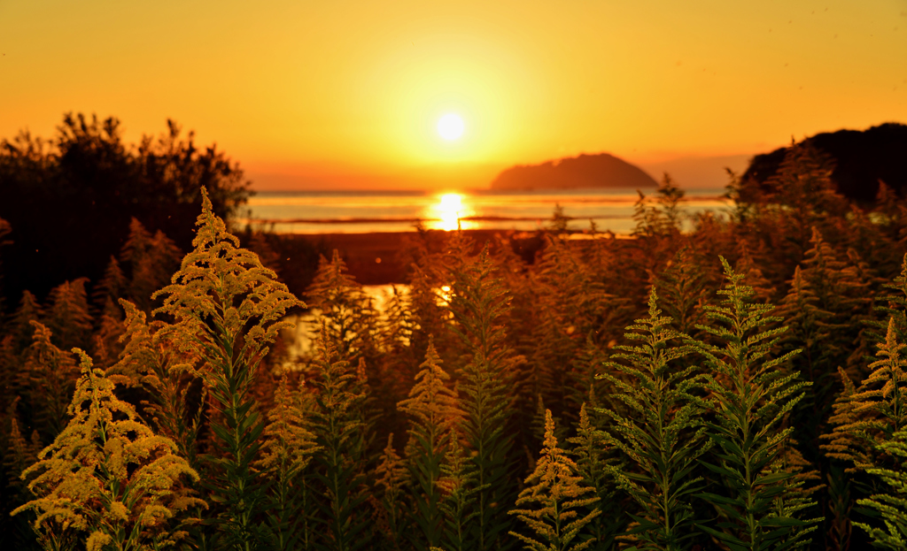 秋夕日・湖北