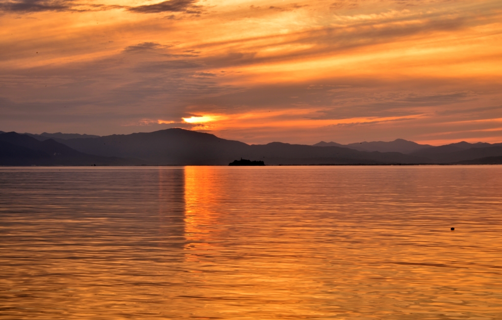 Evening landscape