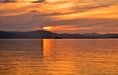 Evening landscape