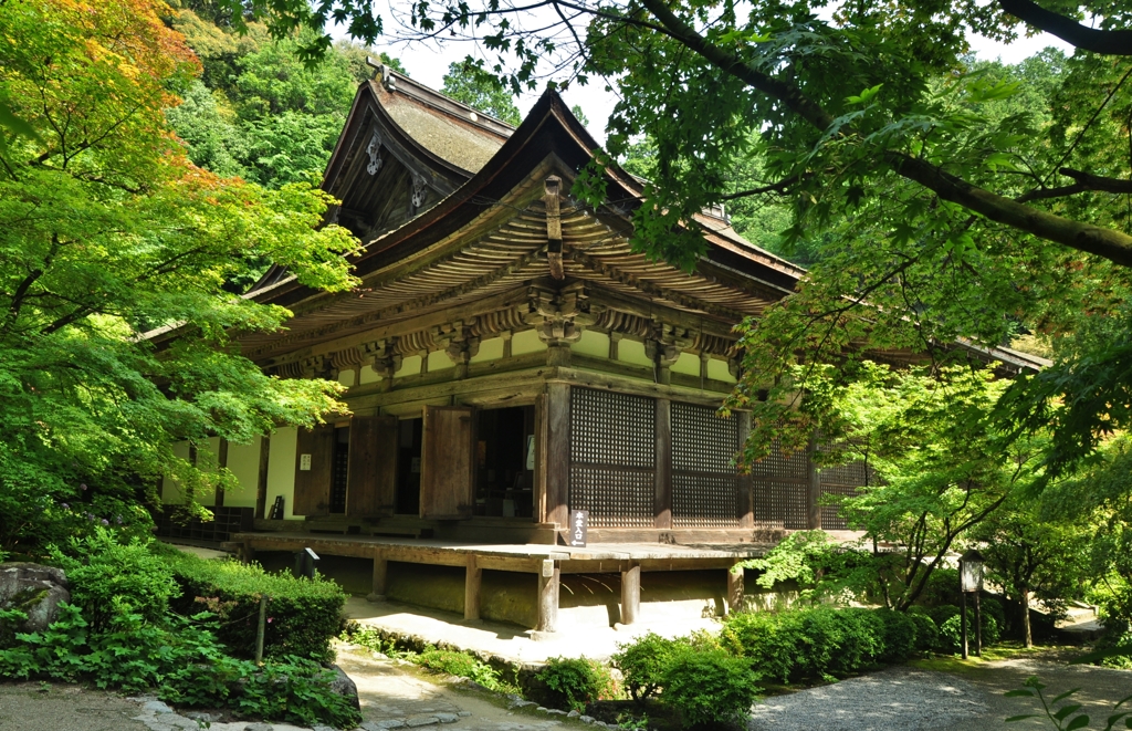 新緑の湖東三山金剛輪寺本堂