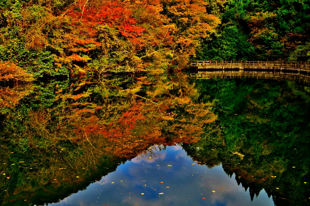紅葉のもみじ池