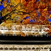 永源寺山門紅葉　3-3