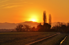 Morning in the country