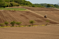 知多富良野