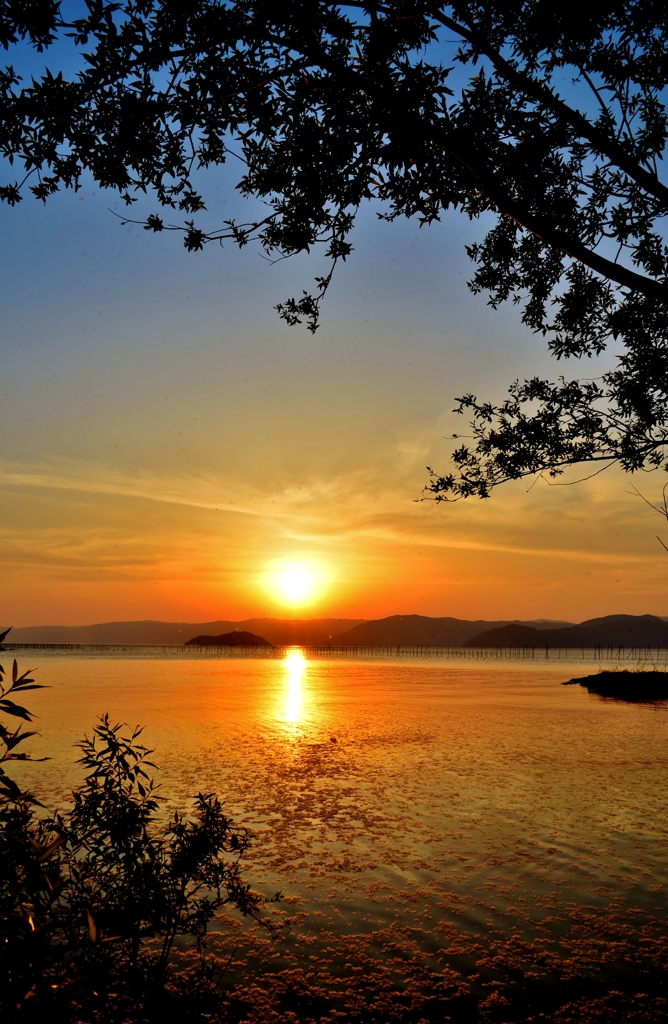 望む夕日