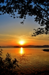 望む夕日