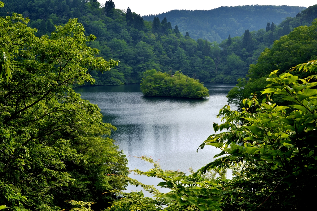 淡海湖（処女湖）