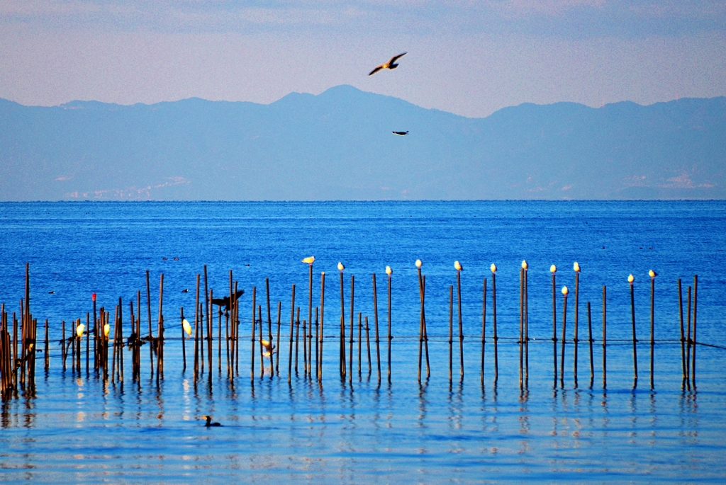 春の湖