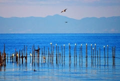 春の湖