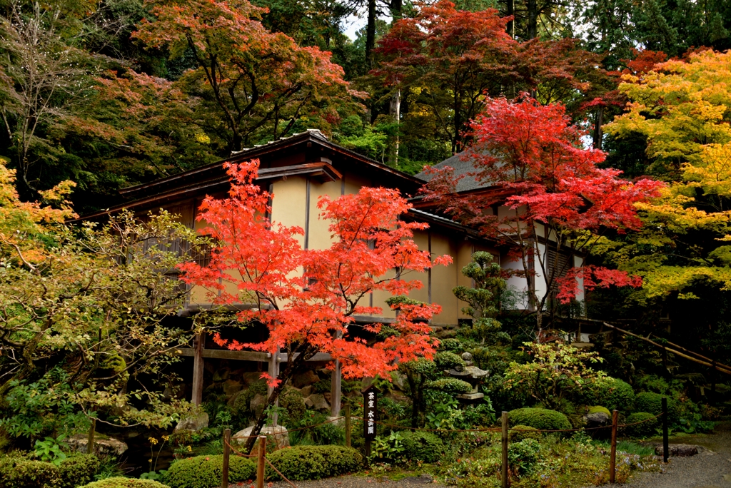 秋ブラ散歩金剛輪寺　6