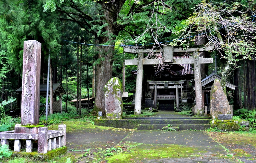 大杉神社参道鳥居