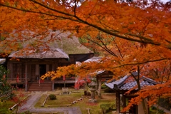 瓦屋寺本堂紅葉