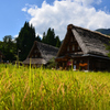 日本の秋風景