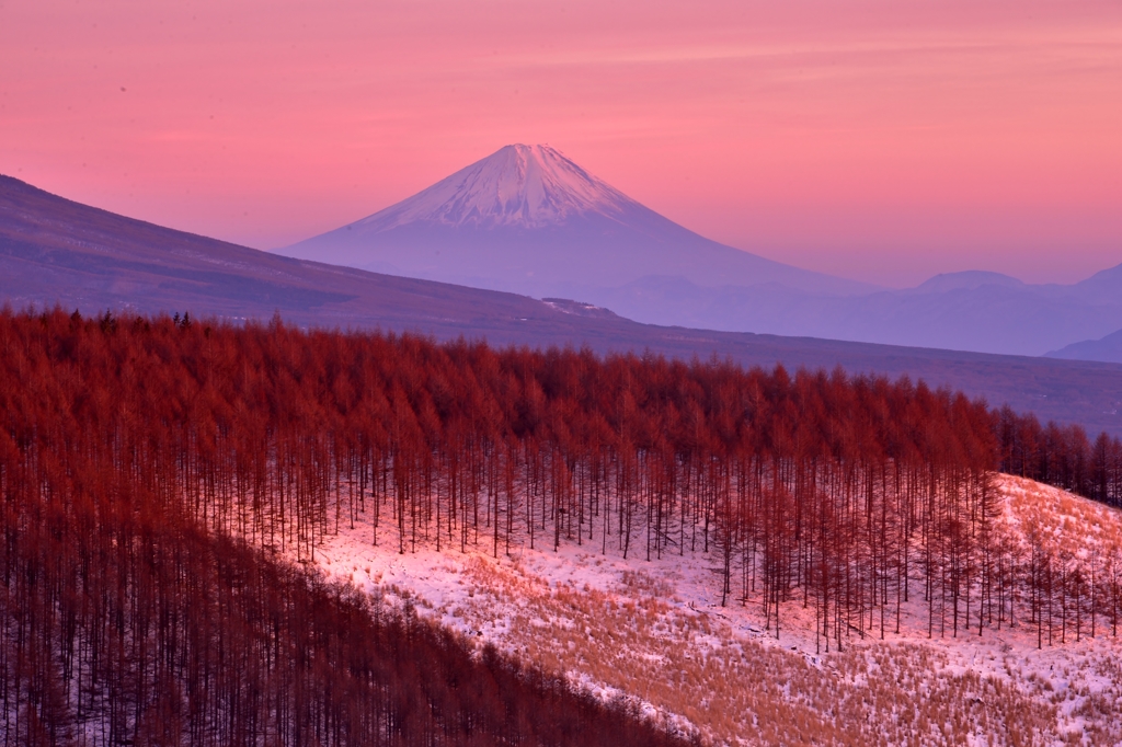 富士紅夕焼け