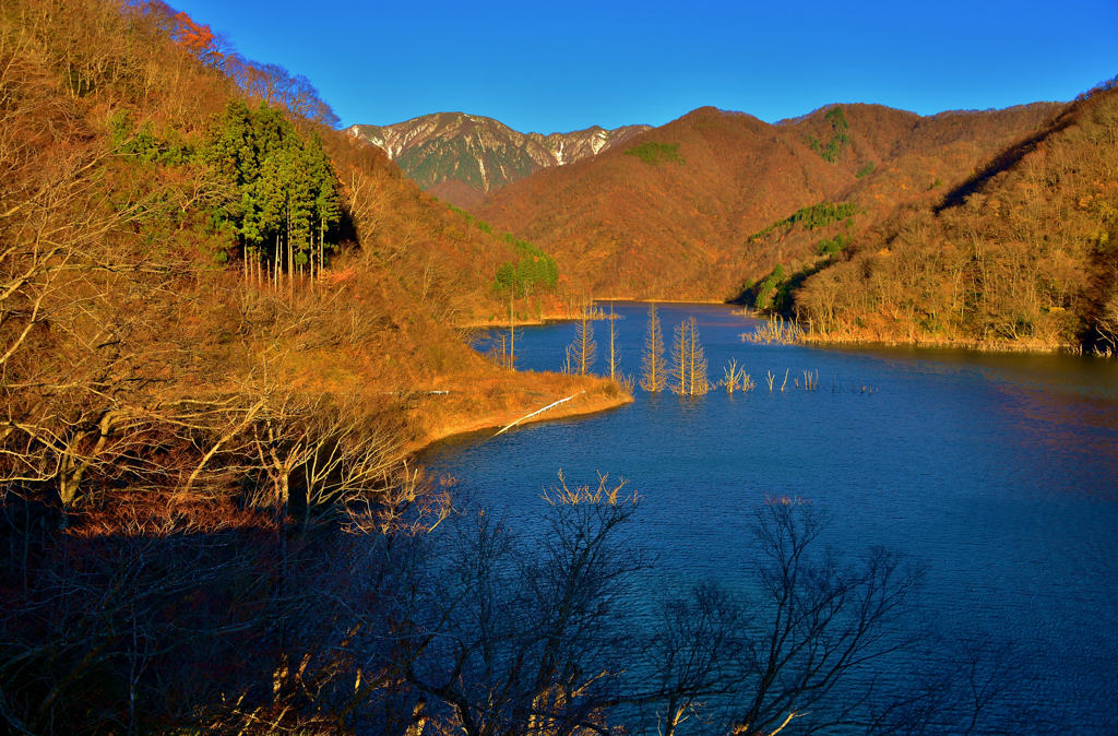 徳山湖