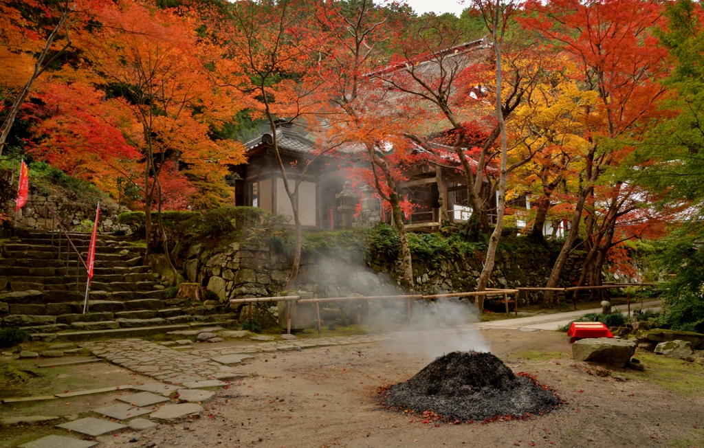 深まり行く秋光景