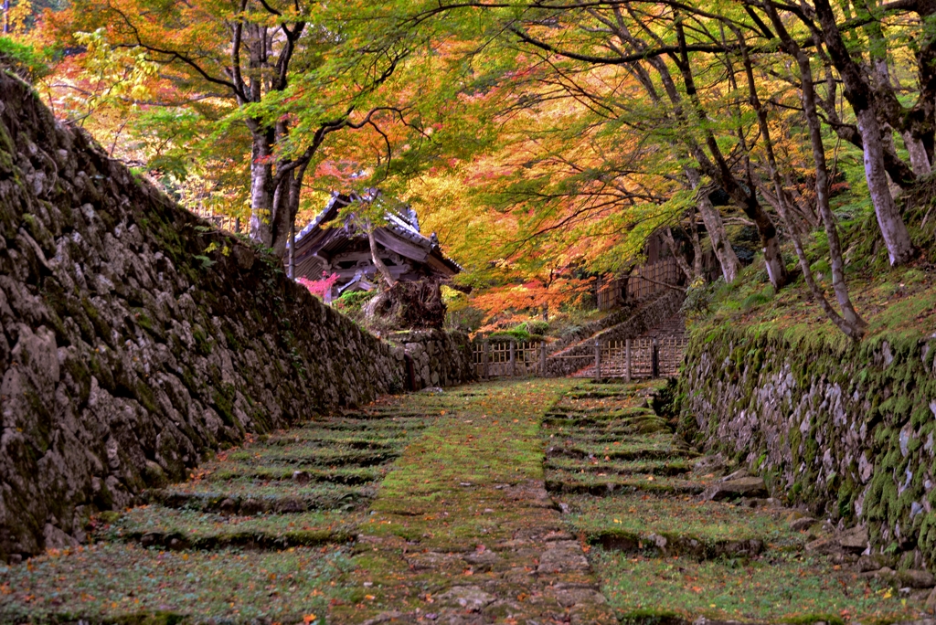 湖東三山百済寺　参道石段　15