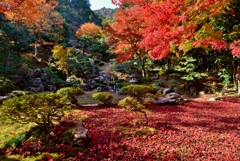 清瀧寺徳源院　池泉回遊式庭園　3-2