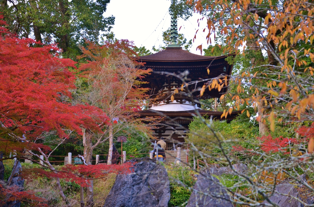 石山寺秋ぶらり　6　多宝塔