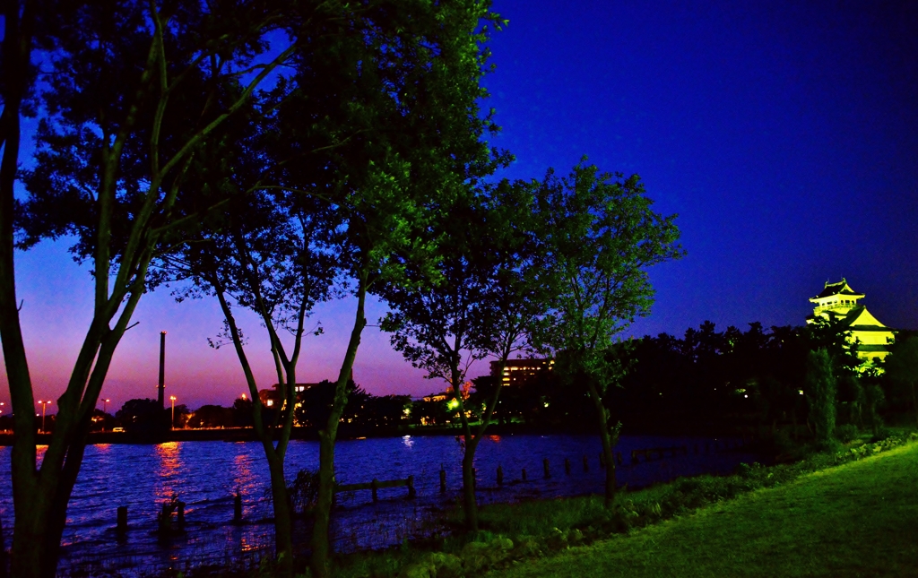 長浜豊公園夜景