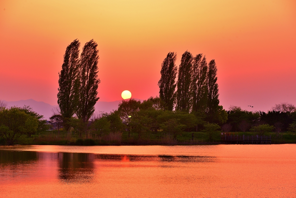 夕色