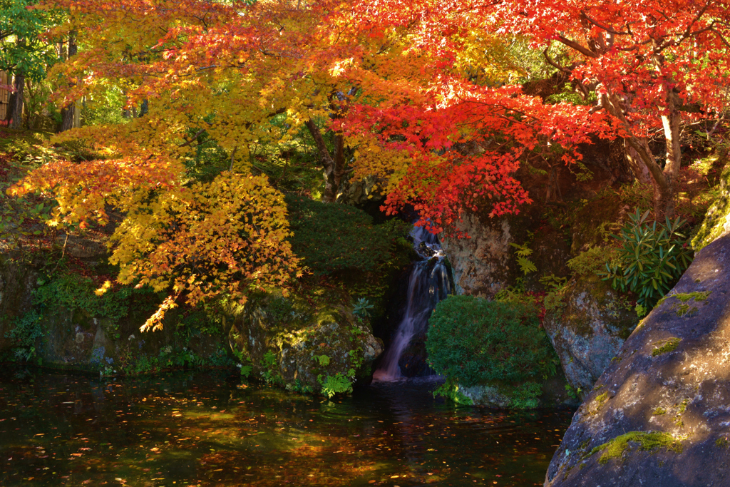 箱根美術館秋彩