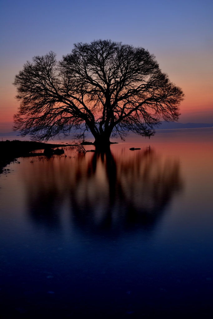 夕影